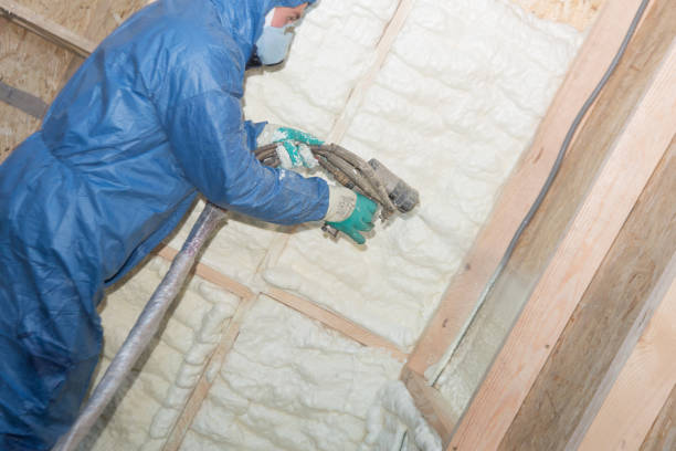 Eco-Friendly or Green Insulation Solutions in Midway, NC